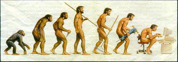 evolutionofmanfromchimptocomputer1.jpg